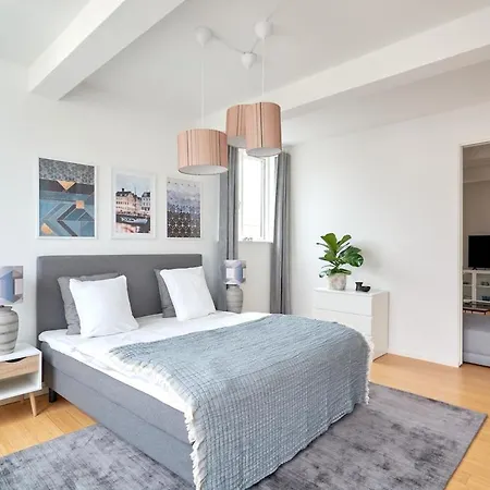 Eksklusiv-nordisk-topbelligenhed * Copenhagen